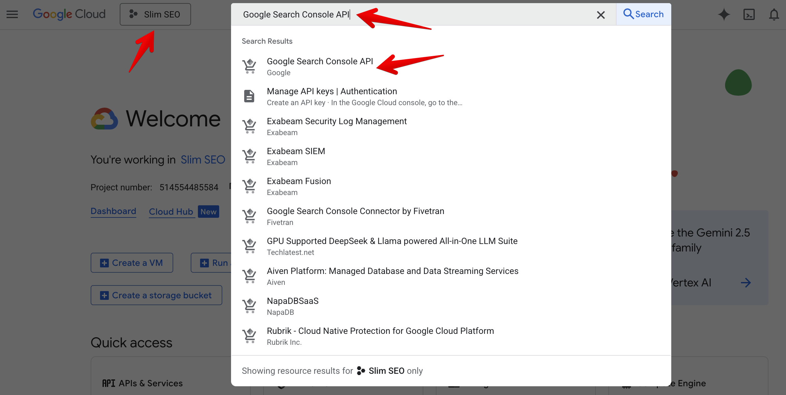 Find Google Search Console API