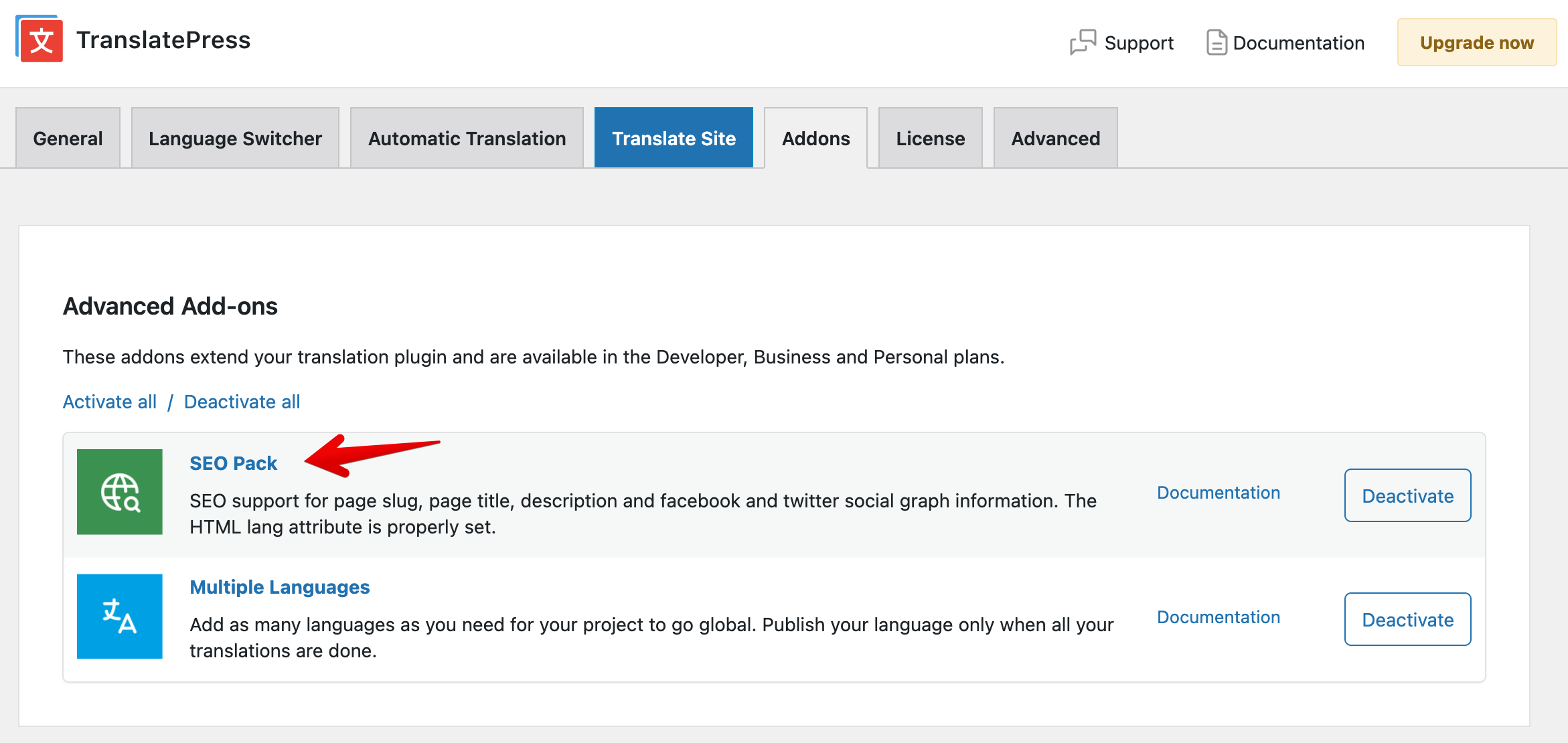 Activate SEO Pack add-on